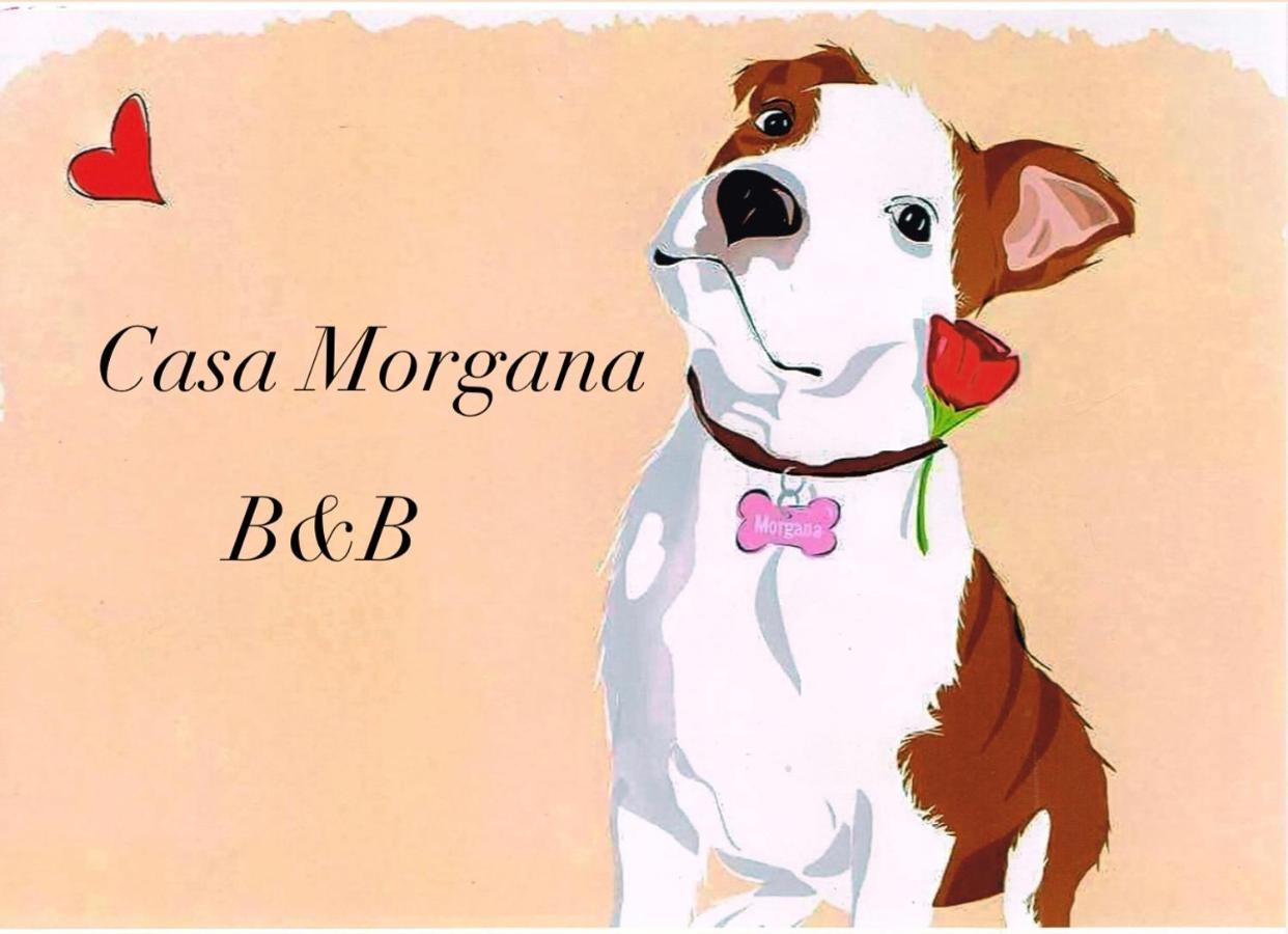 B&B Casa Morgana ออลเบีย ภายนอก รูปภาพ